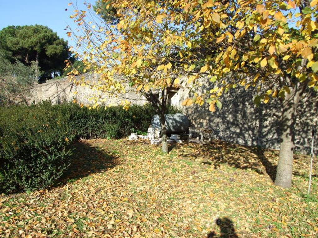 II.8.6 House of the Garden of Hercules.    Garden.