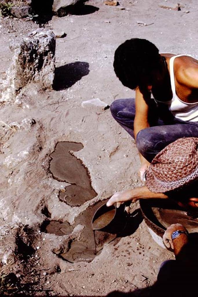 II.8.6 Pompeii. 1972. Careful filling of a root cavity. Photo by Stanley A. Jashemski. 
Source: The Wilhelmina and Stanley A. Jashemski archive in the University of Maryland Library, Special Collections (See collection page) and made available under the Creative Commons Attribution-Non Commercial License v.4. See Licence and use details. J72f0486
