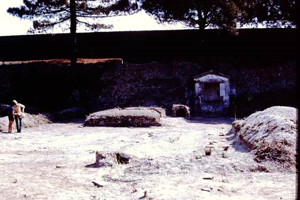 II.8.6 Pompeii. 1972. Looking east across garden area. Photo by Stanley A. Jashemski. 
Source: The Wilhelmina and Stanley A. Jashemski archive in the University of Maryland Library, Special Collections (See collection page) and made available under the Creative Commons Attribution-Non Commercial License v.4. See Licence and use details. J72f0677
