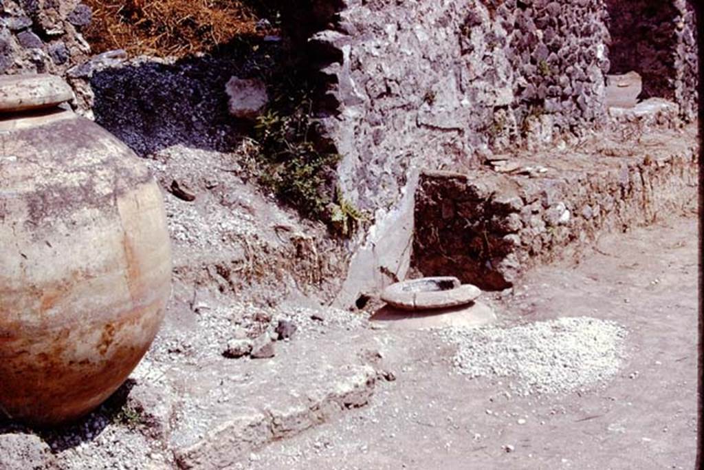 II.8.6. Pompeii, 1973. Looking east along north wall with dolium, buried dolium and bench along wall. Photo by Stanley A. Jashemski. 
Source: The Wilhelmina and Stanley A. Jashemski archive in the University of Maryland Library, Special Collections (See collection page) and made available under the Creative Commons Attribution-Non Commercial License v.4. See Licence and use details. J73f0673
