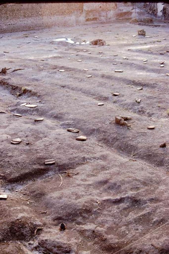 II.8.6 Pompeii, 1973. Root cavities protected by stone slabs. Photo by Stanley A. Jashemski. 
Source: The Wilhelmina and Stanley A. Jashemski archive in the University of Maryland Library, Special Collections (See collection page) and made available under the Creative Commons Attribution-Non Commercial License v.4. See Licence and use details. J73f0787
