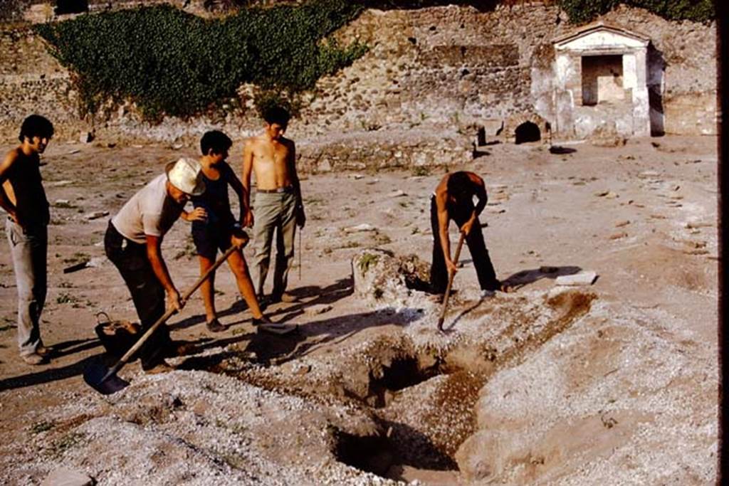 II.8.6 Pompeii, 1973. Refilling the large cavity with its lapilli. Photo by Stanley A. Jashemski. 
Source: The Wilhelmina and Stanley A. Jashemski archive in the University of Maryland Library, Special Collections (See collection page) and made available under the Creative Commons Attribution-Non Commercial License v.4. See Licence and use details. J73f0788

