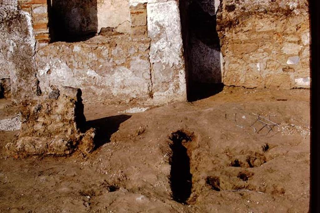 II.8.6 Pompeii, 1973. Detail of root cavity near altar on east side of site. Photo by Stanley A. Jashemski. 
Source: The Wilhelmina and Stanley A. Jashemski archive in the University of Maryland Library, Special Collections (See collection page) and made available under the Creative Commons Attribution-Non Commercial License v.4. See Licence and use details. J73f0790
