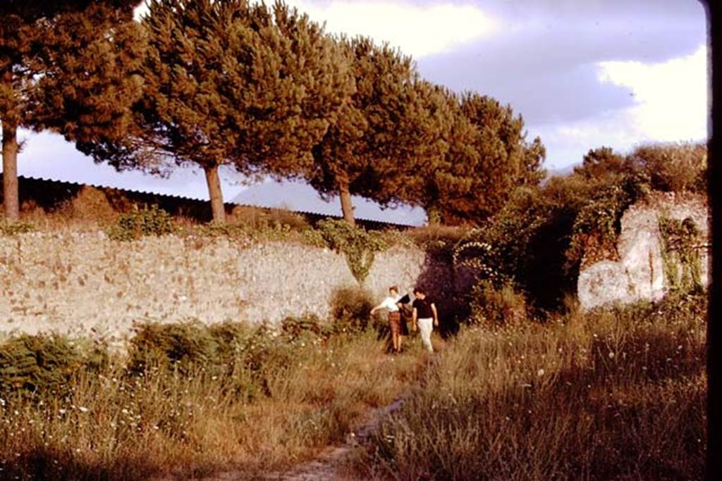 II.9.7 Pompeii. 1970. Looking south-east across garden area.  Photo by Stanley A. Jashemski.
Source: The Wilhelmina and Stanley A. Jashemski archive in the University of Maryland Library, Special Collections (See collection page) and made available under the Creative Commons Attribution-Non Commercial License v.4. See Licence and use details.
J70f0747
