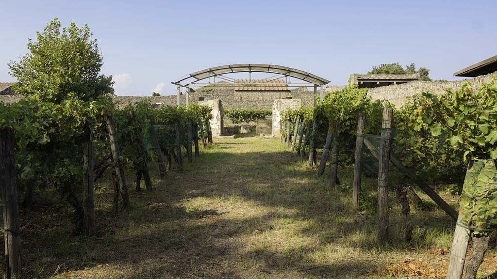 II.9.7 Pompeii. August 2021. Looking west from entrance. Photo courtesy of Robert Hanson.