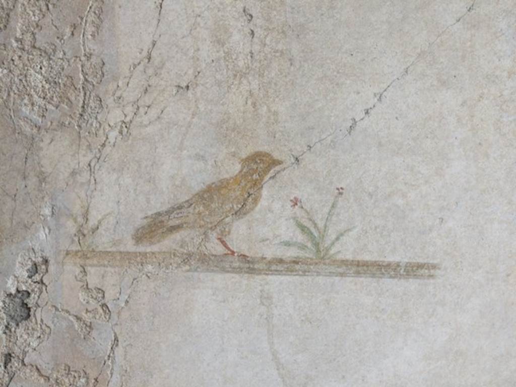 III.2.1 Pompeii.  March 2009.  Room 5.  Ala.  Bird painting.