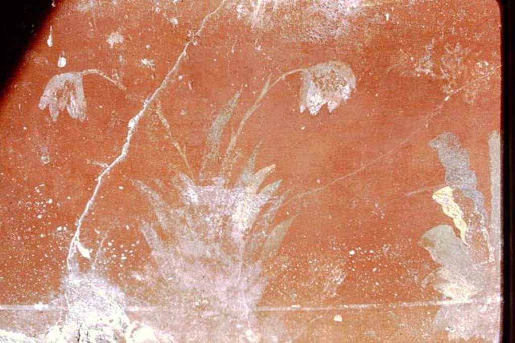 III.2.1 Pompeii. 1968. Room 5, north wall, east end.
Photo by Stanley A. Jashemski.
Source: The Wilhelmina and Stanley A. Jashemski archive in the University of Maryland Library, Special Collections (See collection page) and made available under the Creative Commons Attribution-Non Commercial License v.4. See Licence and use details.
J68f0380
