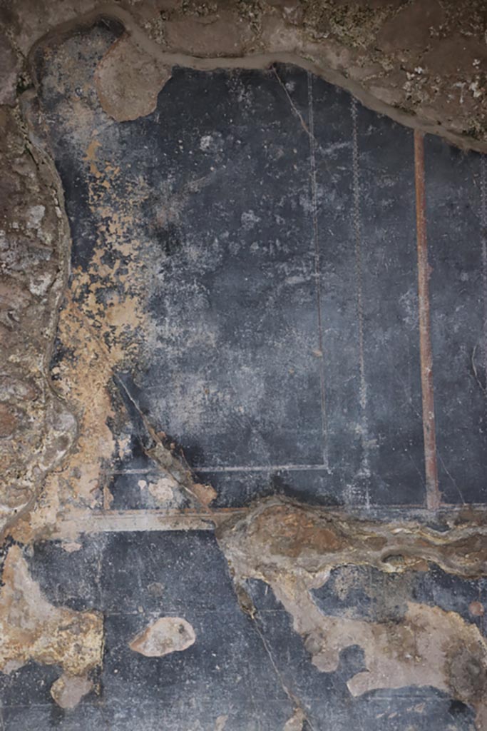 III.2.1 Pompeii. May 2024. 
Room 7, detail from south end of east wall of oecus. Photo courtesy of Klaus Heese.
