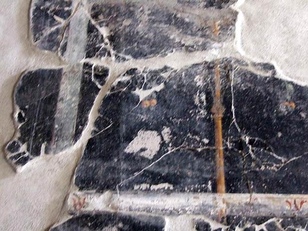 III.2.1 Pompeii. March 2009. Room 7, north end of east wall of oecus. 