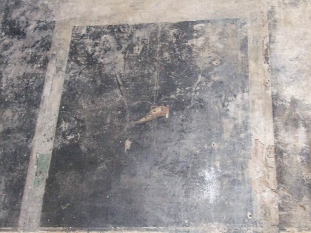 III.2.1 Pompeii.  March 2009.  Room 7.  Oecus.  North wall.  Detail from upper wall at west end.