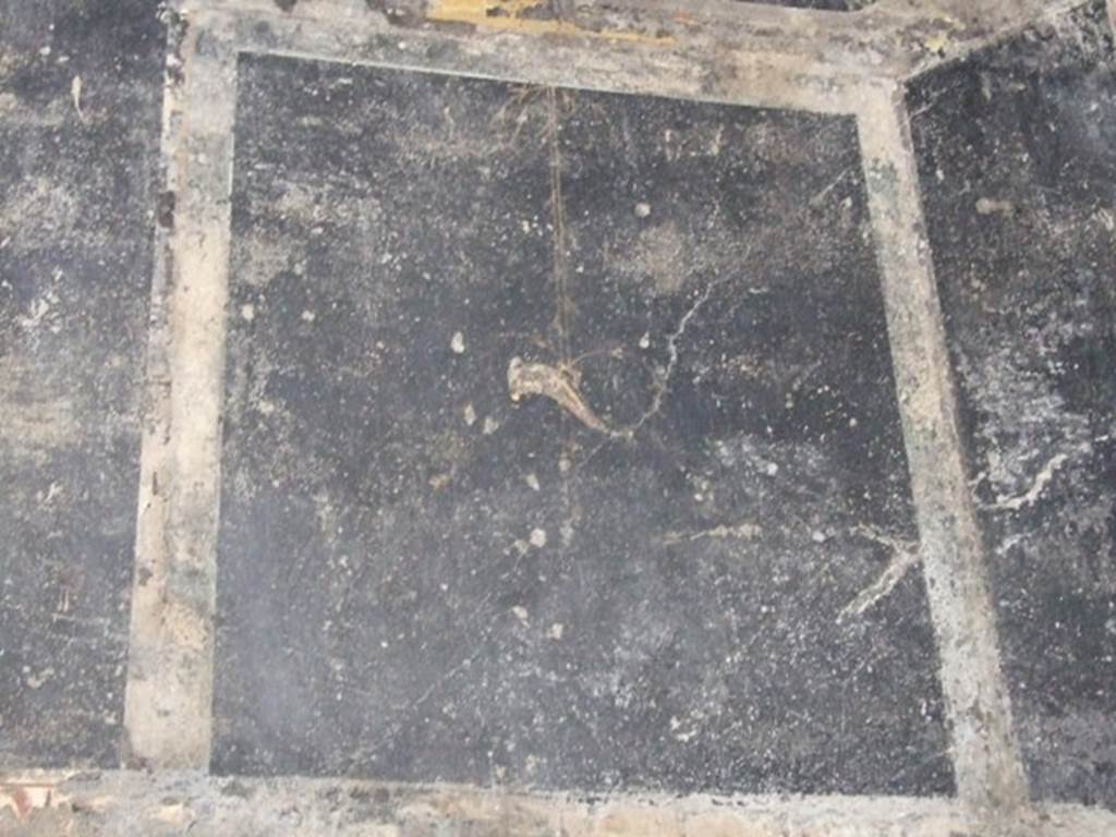 III.2.1 Pompeii.  March 2009.  Room 7.  Oecus.  North wall.  Detail from upper wall at east end.