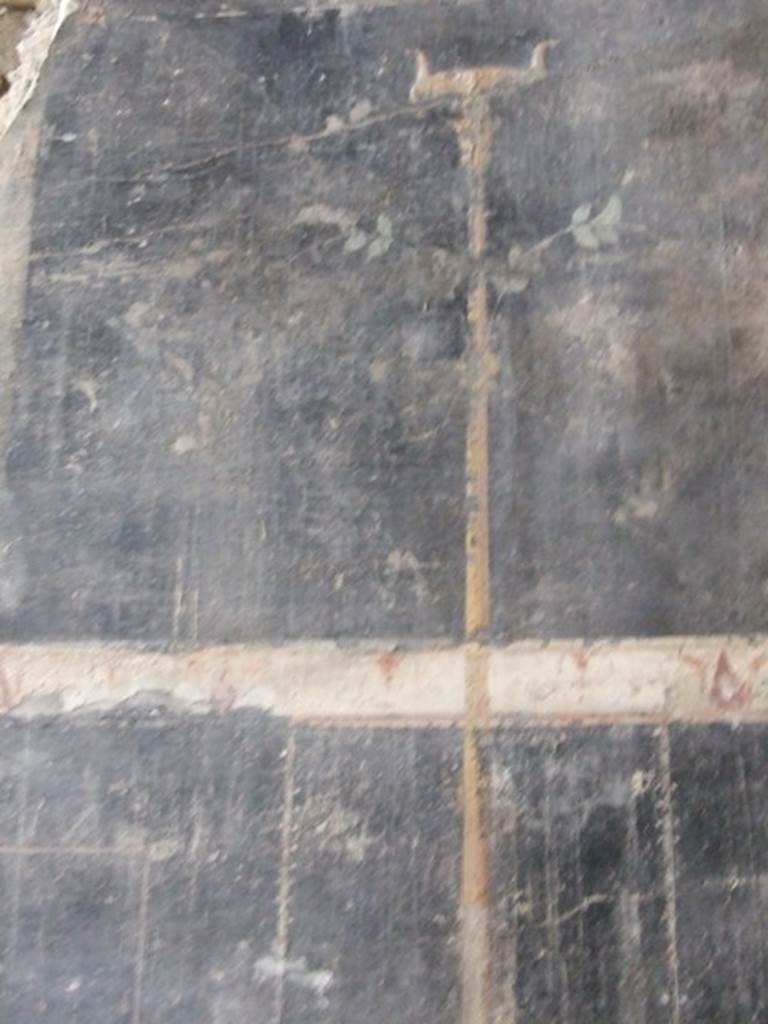 III.2.1 Pompeii. March 2009. Room 7, west wall of oecus. Detail from upper wall at north end.