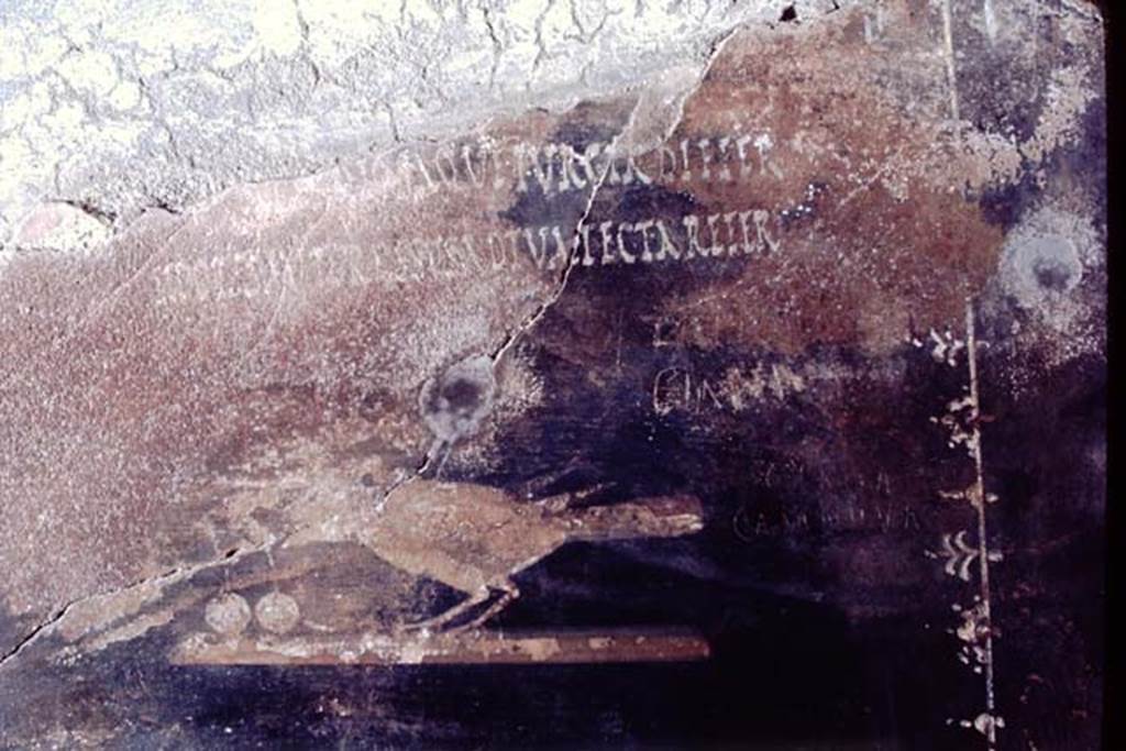 III.4.3 Pompeii. 1968. Room 3. Second painted panel on south wall. The remains of one of the Latin moral verses, from which the house is named, is just visible and can be seen above the painted bird.
(Utere blandit)iis, odiosaque iurgia differ
Si potes, aut gressus ad tua tecta refer
See Della Corte, M., 1965. Case ed Abitanti di Pompei. Napoli: Fausto Fiorentino. (p. 361. CIL IV 7698a-c)

(�.) postpone your tiresome quarrels
If you can, or leave and take them home with you.
See Cooley, A. and M.G.L., 2004. Pompeii: A Sourcebook. London: Routledge, (p. 73 CIL IV 7698a-c). 
Photo by Stanley A. Jashemski.
Source: The Wilhelmina and Stanley A. Jashemski archive in the University of Maryland Library, Special Collections (See collection page) and made available under the Creative Commons Attribution-Non Commercial License v.4. See Licence and use details.
J68f0359
