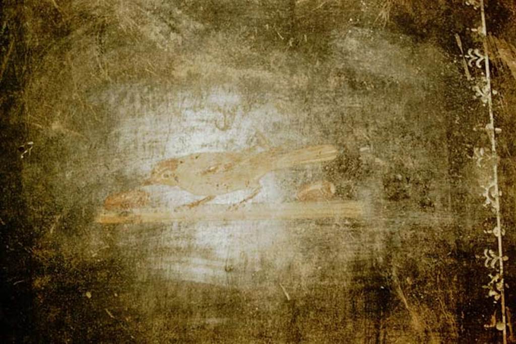 III.4.3 Pompeii. 1957. Room 3, triclinium. Detail of painting of bird from fourth painted panel on south wall. Photo by Stanley A. Jashemski.
Source: The Wilhelmina and Stanley A. Jashemski archive in the University of Maryland Library, Special Collections (See collection page) and made available under the Creative Commons Attribution-Non Commercial License v.4. See Licence and use details.
J57f0251 
