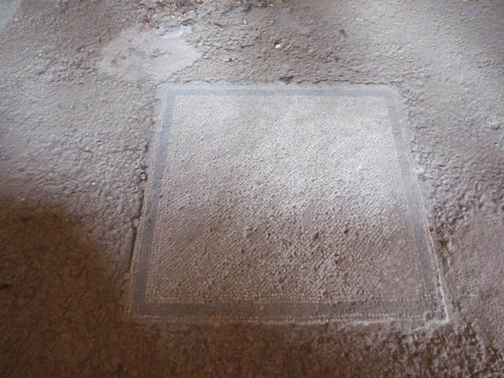 III.4.b. Pompeii.  March 2009. Room 3.  Oecus.  Mosaic floor