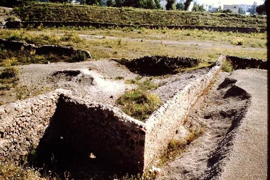III.7 Pompeii. 1964. Looking east across III.7 vineyard on left behind wall, III.7 triangular area ahead, probably the garden area.  Photo by Stanley A. Jashemski.
Source: The Wilhelmina and Stanley A. Jashemski archive in the University of Maryland Library, Special Collections (See collection page) and made available under the Creative Commons Attribution-Non Commercial License v.4. See Licence and use details.
J64f2001
