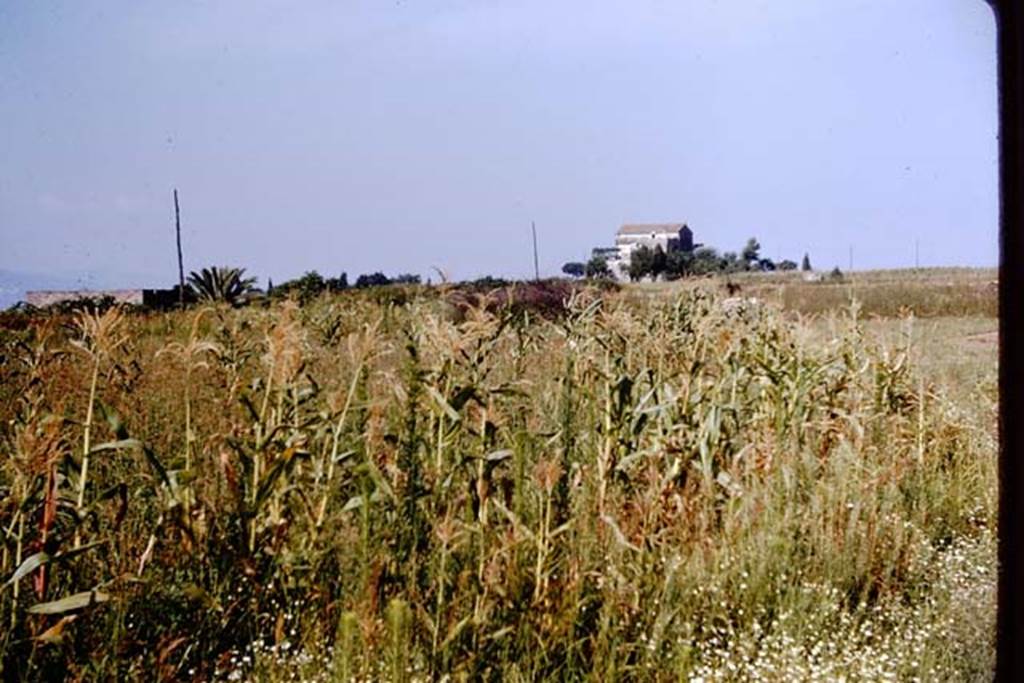 III.7 Pompeii. 1964. Looking west towards Casina dell�Aquila.   Photo by Stanley A. Jashemski.
Source: The Wilhelmina and Stanley A. Jashemski archive in the University of Maryland Library, Special Collections (See collection page) and made available under the Creative Commons Attribution-Non Commercial License v.4. See Licence and use details.
J64f2002
