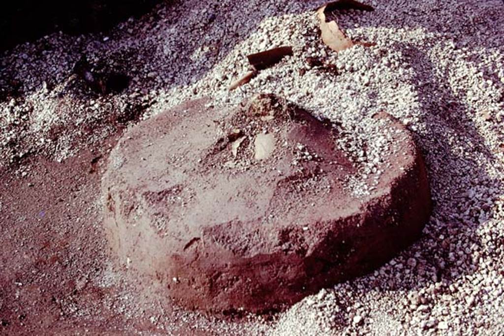 III.7 Pompeii. 1976. Circular object made of cocciopesto (cement with crushed terracotta) with a slight peak at its centre. Photo by Stanley A. Jashemski.   
Source: The Wilhelmina and Stanley A. Jashemski archive in the University of Maryland Library, Special Collections (See collection page) and made available under the Creative Commons Attribution-Non Commercial License v.4. See Licence and use details. J76f0330
