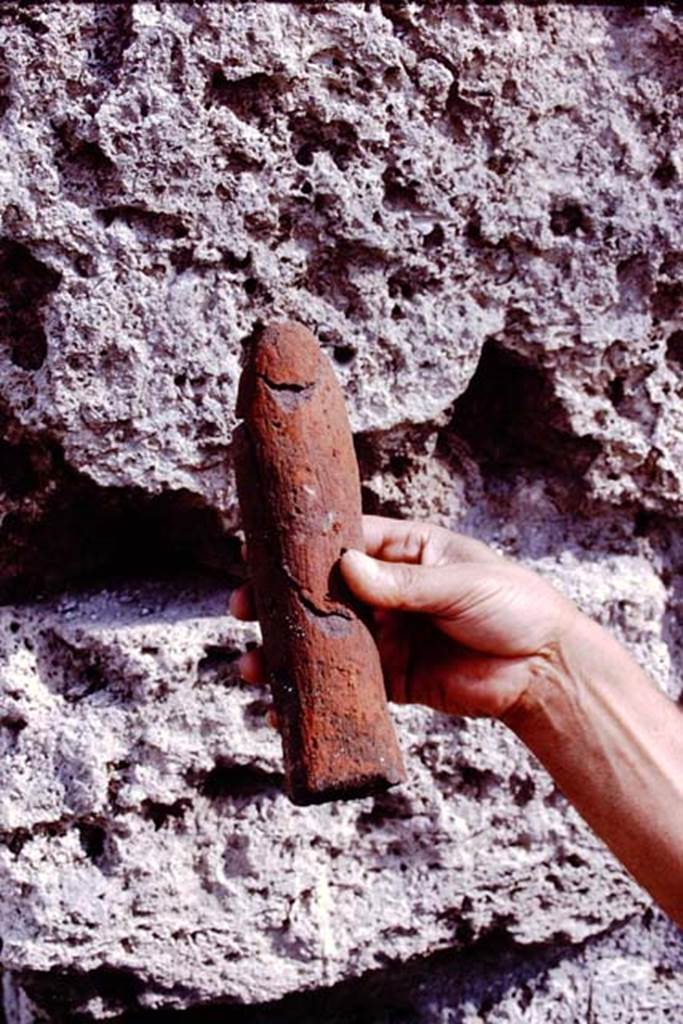 III.7 Pompeii. 1976. The larger red phallus. Photo by Stanley A. Jashemski.   
Source: The Wilhelmina and Stanley A. Jashemski archive in the University of Maryland Library, Special Collections (See collection page) and made available under the Creative Commons Attribution-Non Commercial License v.4. See Licence and use details. J76f0441
