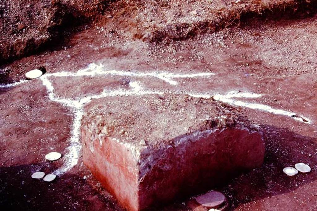 III.7 Pompeii. 1976. Looking south across rectangular table and root cavities. Photo by Stanley A. Jashemski.   
Source: The Wilhelmina and Stanley A. Jashemski archive in the University of Maryland Library, Special Collections (See collection page) and made available under the Creative Commons Attribution-Non Commercial License v.4. See Licence and use details. J76f0537
According to Wilhelmina, �At each corner of the rectangular table there was the cavity of a smaller post and vine that had created a pergola to provide shade. On the north side of the table, at the centre of the base was a strange, slightly mounded piece of cement topped by a marble disc, both of which were partly under the table, suggesting that it might possibly have served as a statue base. It is possible that the table may have been an altar, and the four post holes those of a baldacchino, but the structure was too damaged to know if it was used as an altar or a table.�
See Jashemski, W. F., 1993. The Gardens of Pompeii, Volume II: Appendices. New York: Caratzas, (p.104).

