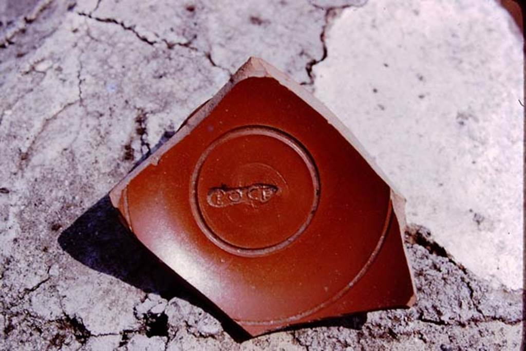 III.7 Pompeii. 1975. Fragment of Arretine ware, pottery from Arezzo area of Italy, found near south wall. Photo by Stanley A. Jashemski.   
Source: The Wilhelmina and Stanley A. Jashemski archive in the University of Maryland Library, Special Collections (See collection page) and made available under the Creative Commons Attribution-Non Commercial License v.4. See Licence and use details.
J75f0686
