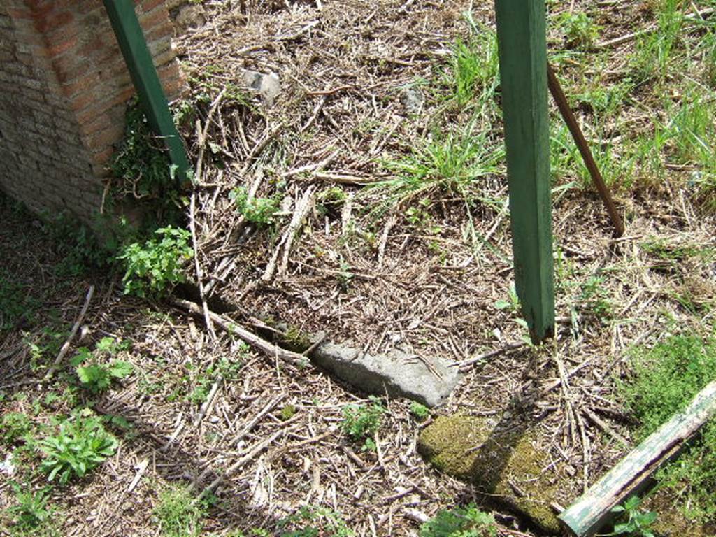 III.11.5 Pompeii. May 2006. Site of entrance.