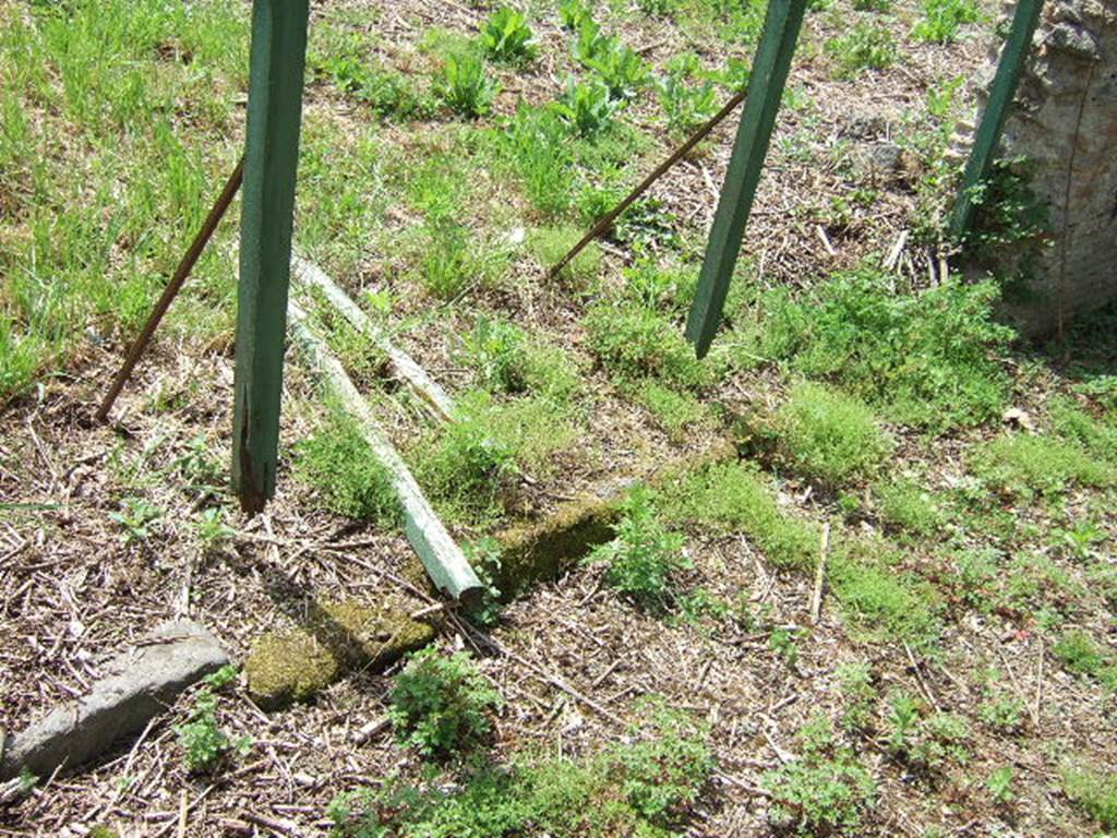 III.11.5 Pompeii. May 2006. Site of two sided counter.