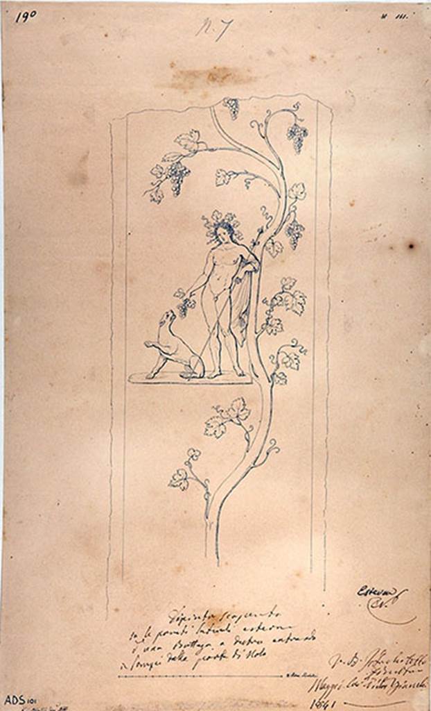 IV.1.d and IV.1.e Pompeii behind custodians shed. 1841 drawing by G. Abbate.
Drawing of a naked Bacchus crowned with vine leaves, and with thyrsus, grapes and sitting panther. 
A vine runs from bottom to top of the panel.
Fr�hlich identified Bacchus on the right of the entrance and Mercury on the left of the entrance.
Now in Naples Archaeological Museum. Inventory number ADS 101.
See Fr�hlich, T., 1991. Lararien und Fassadenbilder in den Vesuvst�dten. Mainz: von Zabern. (p.316, F26).
Photo � ICCD. https://www.catalogo.beniculturali.it
Utilizzabili alle condizioni della licenza Attribuzione - Non commerciale - Condividi allo stesso modo 2.5 Italia (CC BY-NC-SA 2.5 IT)
Kuivalainen comments �
�Bacchus is offering a bunch of grapes to the panther. The composition and its details, such as the large wreath, the thirsty/covetous panther with the naked Bacchus, and the considerable size of the vine, all emphasize the significance of the harvest.�
See Kuivalainen, I., 2021. The Portrayal of Pompeian Bacchus. Commentationes Humanarum Litterarum 140. Helsinki: Finnish Society of Sciences and Letters, (p.109-10, C5).

