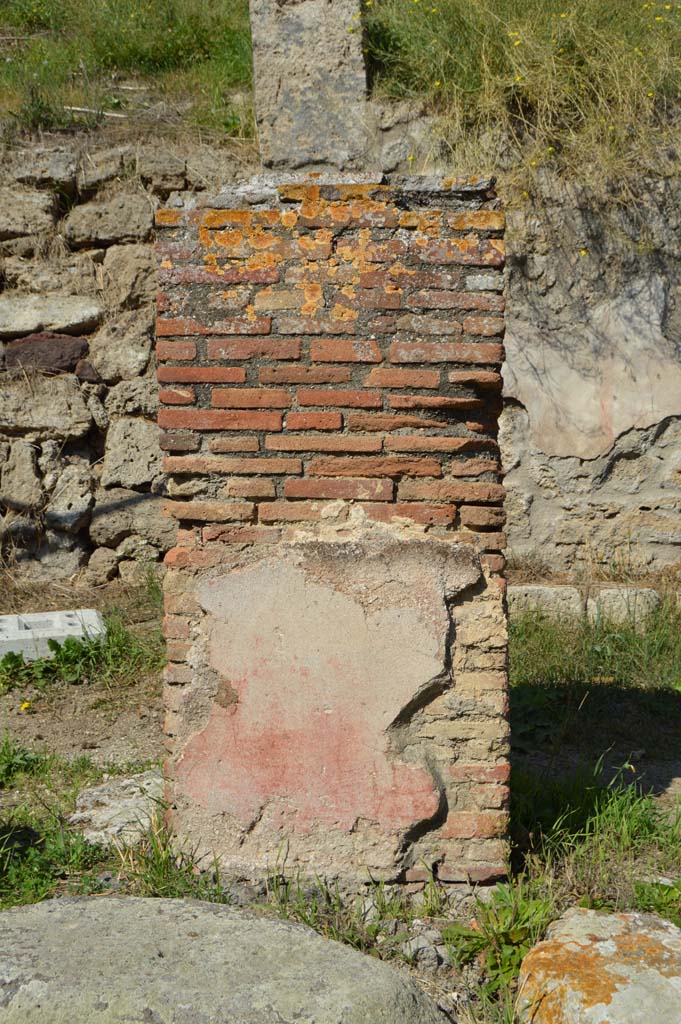 IV.2.a, Pompeii. October 2017. Pilaster on west side of portico, looking north to south side.
Foto Taylor Lauritsen, ERC Grant 681269 D�COR.

