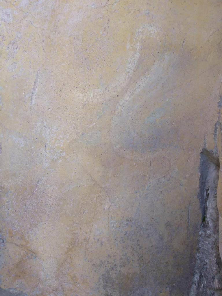 V.1.7 Pompeii. December 2007. Room 5, detail of remaining painted serpent on right hand side (west) of altar.