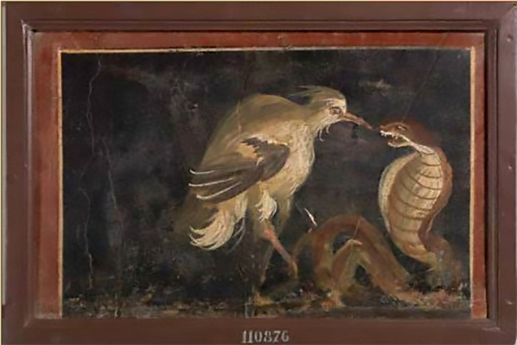V.1.18 Pompeii. Room “l”, at base of wall. Painting of Heron and Cobra.
Now in Naples Archaeological Museum. Inventory number 110876.
See Presuhn E., 1882. Pompeji: Die Neuesten Ausgrabungen von 1874 bis 1881. Leipzig: Weigel. Abtheilung II, p. 4.
