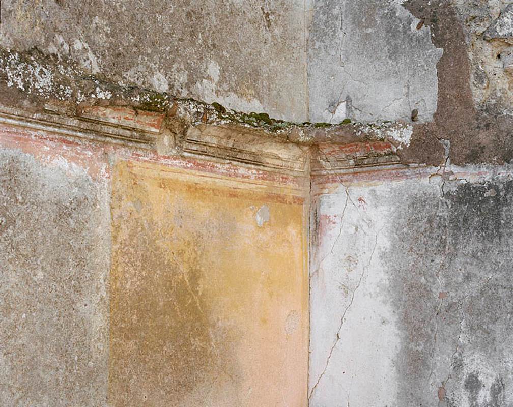 V.1.18 Pompeii. c.2005-2008.
Room “l” (L), detail of painted decoration in south-west corner. Photo by Hans Thorwid.
Photo courtesy of The Swedish Pompeii Project.