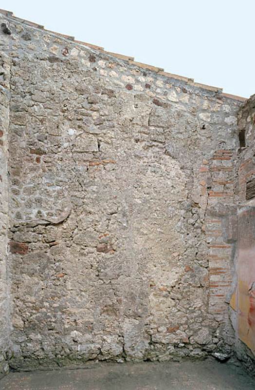 V.1.18 Pompeii. c.2005-2008.
Room “n”, oecus, looking towards east wall. Photo by Hans Thorwid.
Photo courtesy of The Swedish Pompeii Project.