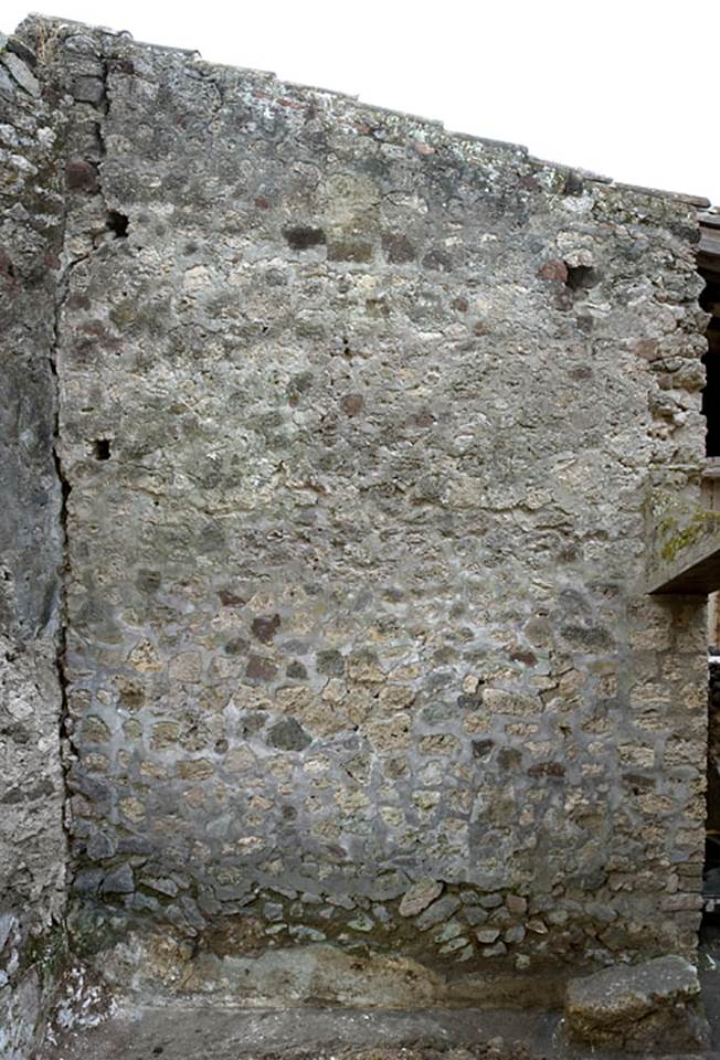 V.1.18 Pompeii. c.2005-2008.
Room “s”, south wall. Photo by Hans Thorwid.
Photo courtesy of The Swedish Pompeii Project.
