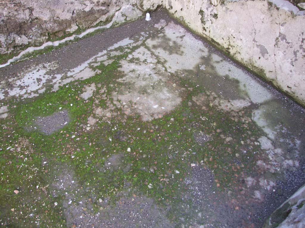 V.1.26 Pompeii. March 2009. Floor of room “g”, on south side of atrium.