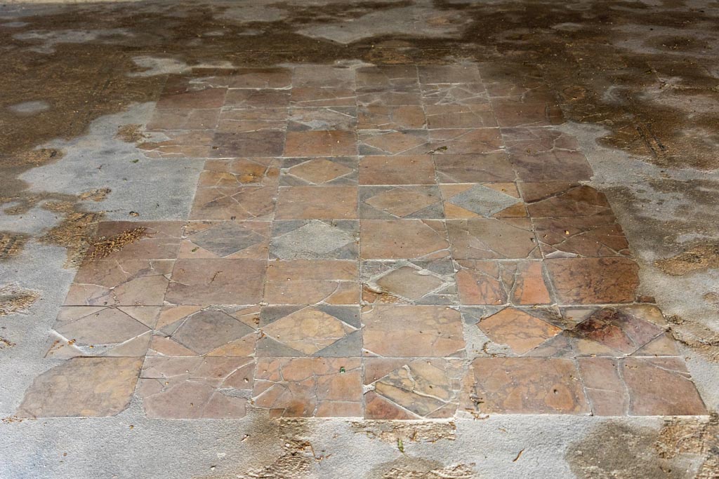 V.1.26 Pompeii. October 2023. Room “o”, detail of central emblema in triclinium. Photo courtesy of Johannes Eber.