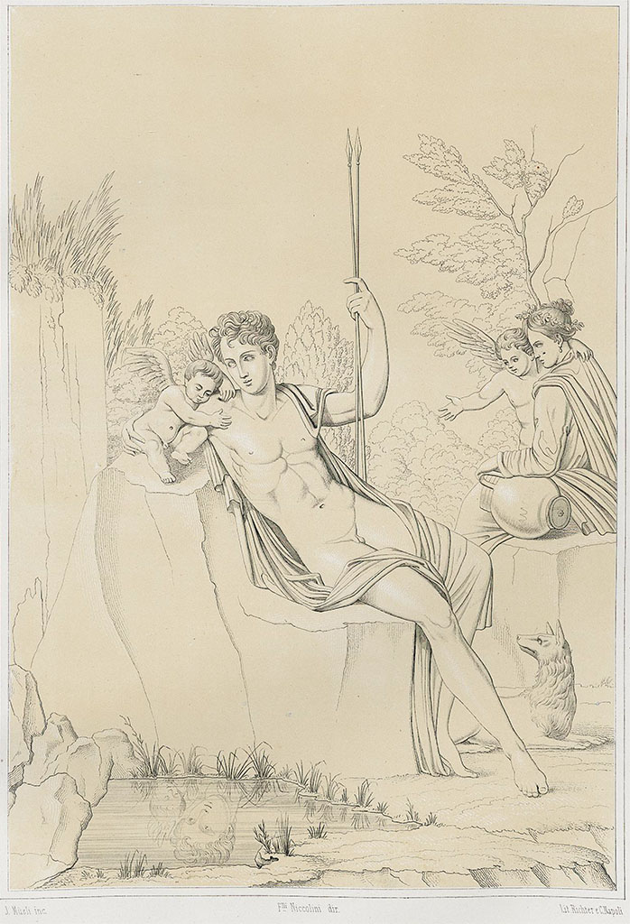 V.1.26 Pompeii. Room “t”, east wall painting of Narcissus.
According to Niccolini –
Tav. XXVI. Another painting was found facing that already described (Tav. XXIV) in the triclinium in the house in Reg. V. Insula 1. It shows Narcissus ……..
See Niccolini F, 1862. Le case ed i monumenti di Pompei: Volume Secondo. Napoli, Tav. XXVI.
See Mau, Bullettino dell’Instituto di Corrispondenza Archeologica (DAIR), 1876, p.230, no.34.
See Sogliano, A., 1879. Le pitture murali campane scoverte negli anni 1867-79. Napoli: Giannini. No. 589, room in the extreme south of the east side of the peristyle. Quite wasted away.