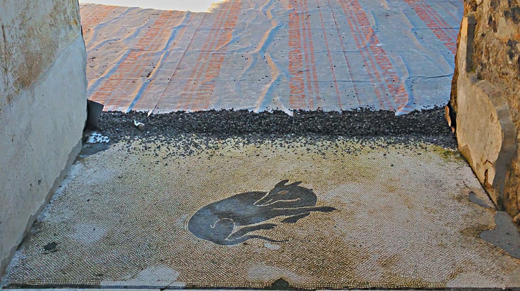 V.1.26 Pompeii. December 2019. Looking east across mosaic in vestibule. Photo courtesy of Giuseppe Ciaramella.