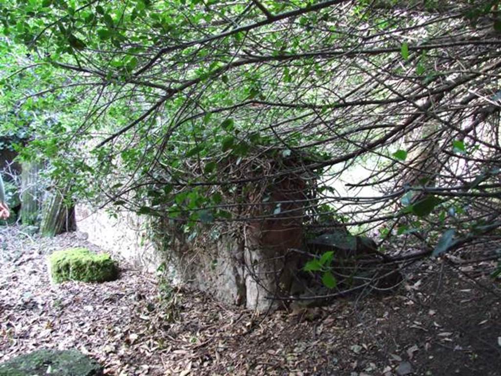 V.2.15 Pompeii. December 2007. Peristyle garden 11c to the left, with peristyle (now A19 after 2018 excavations) right looking north-east into unexcavated area.