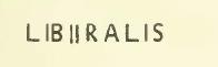 Liberalis [CIL IV 4149]