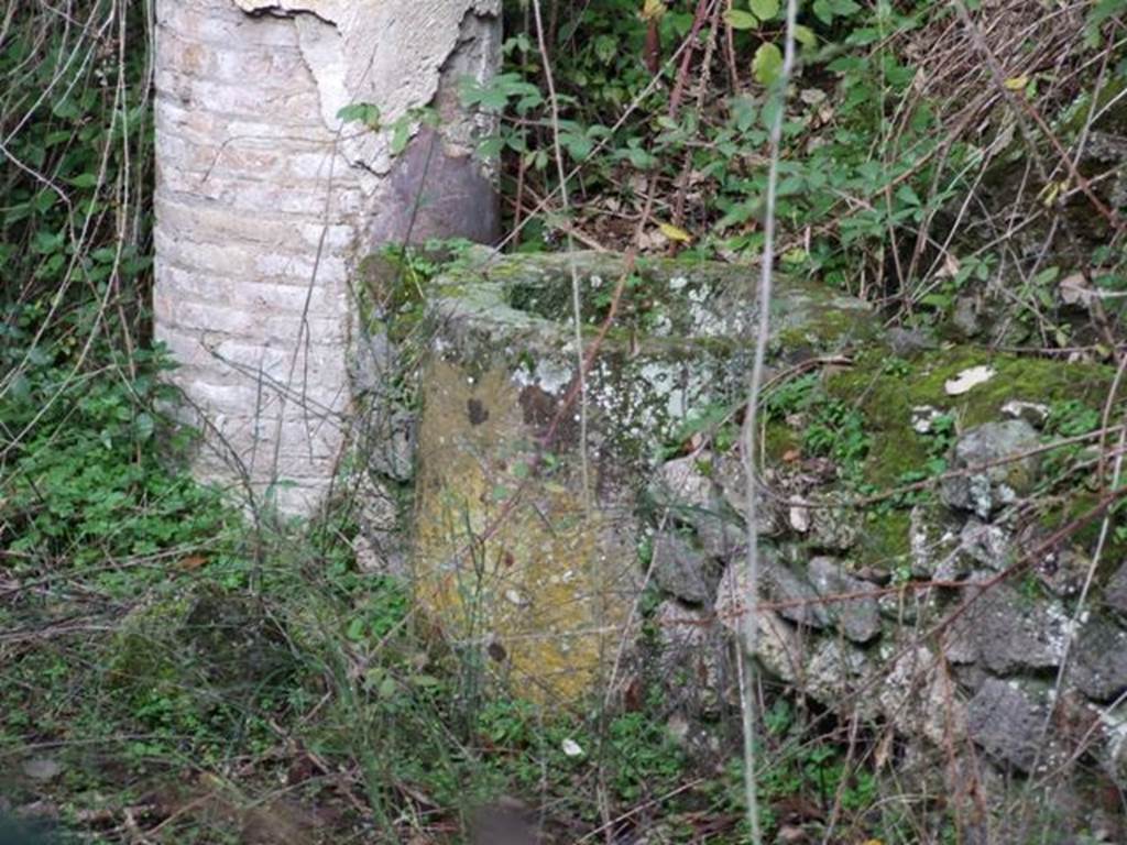 V.2.15 Pompeii. December 2007. Room 11c, peristyle with stone puteal built into the wall between columns.
Originally the columns would have been plastered and painted red up to a height of 1.30m, and then painted white above.