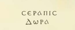 V.2.15 Pompeii. December 2007. Room 11e, large kitchen or storeroom, looking south.
Built against the west wall were two pilasters of Sarno limestone.
According to NdS �
18th October. Upon carrying out an ordinary excavation in V.2.15 on the Via Nolana, and found in the room to the left facing to the second garden, was �
Terracotta: a fragment of amphora with part of the neck, on which in black letters, we read �
[Greek]
See Notizie degli Scavi di Antichit�, 1894, p.382. 
