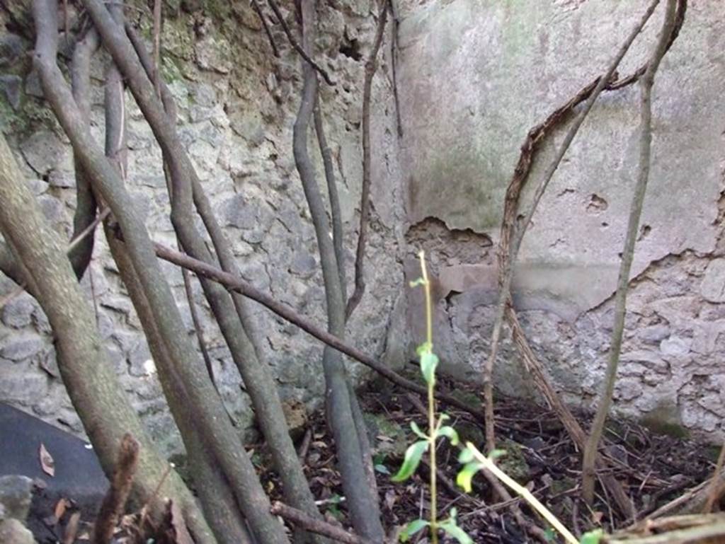 V.2.21 Pompeii. December 2007. South-east corner of room on south side of atrium. 