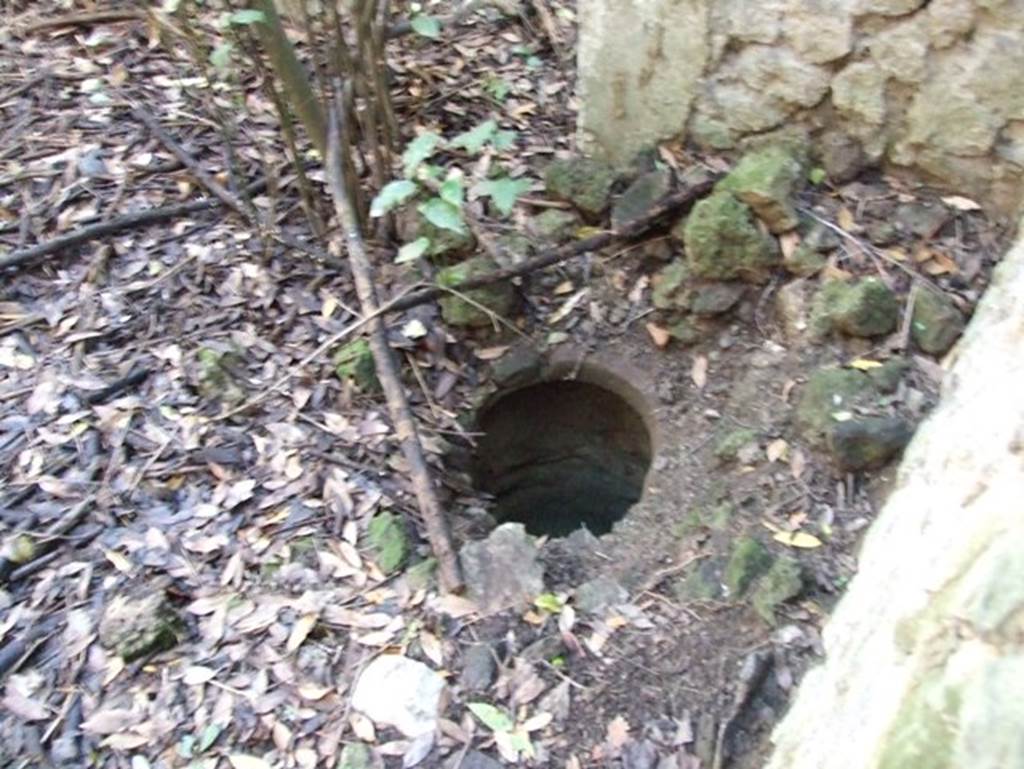 V.2.21 Pompeii. December 2007. Cistern-mouth in south-west corner of atrium, looking south. 