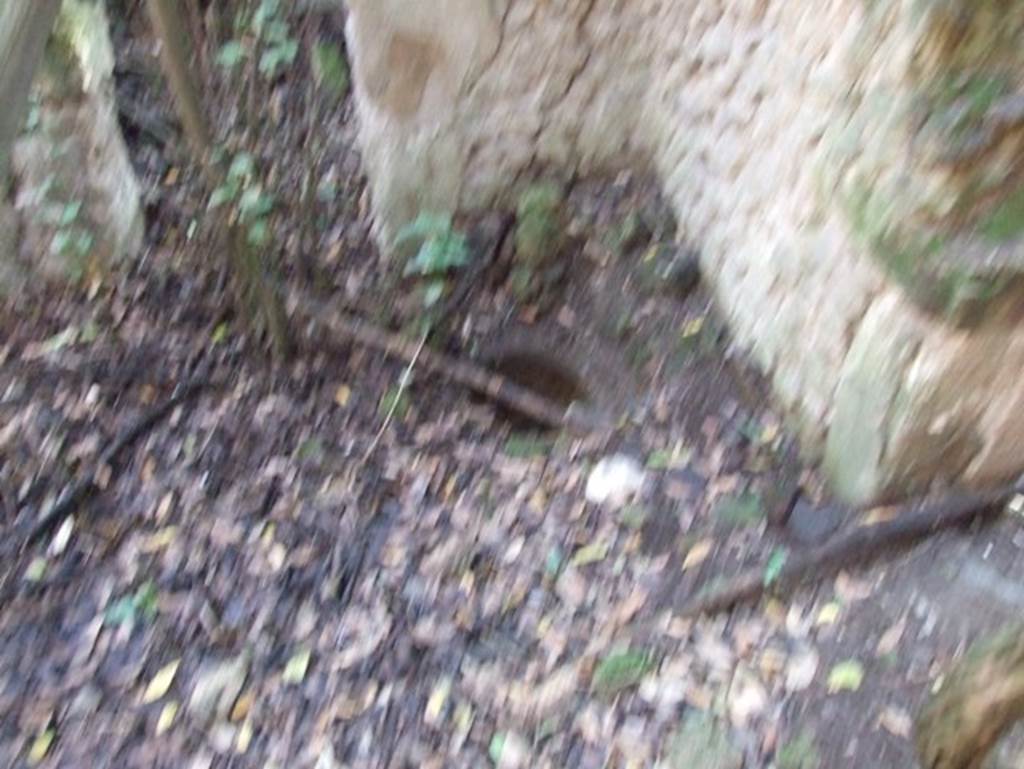 V.2.21 Pompeii. December 2007. 
Cistern-mouth in south-west corner of atrium, with doorway to room in centre of south side of atrium, on left.
This room was linked by a doorway to a room in the south-west corner, not photographed. 
On the right is a doorway into the second room on the west side of atrium in the south-west corner. 


