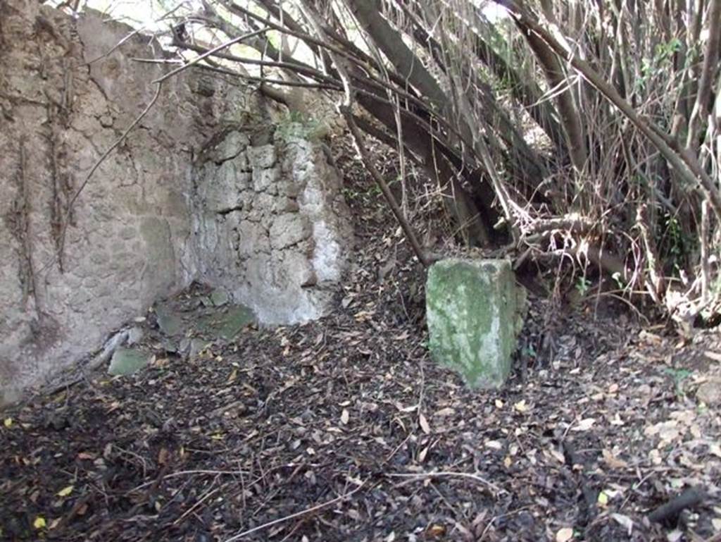 V.2.21 Pompeii. December 2007. Looking towards north-west corner of second room on west side of atrium. 