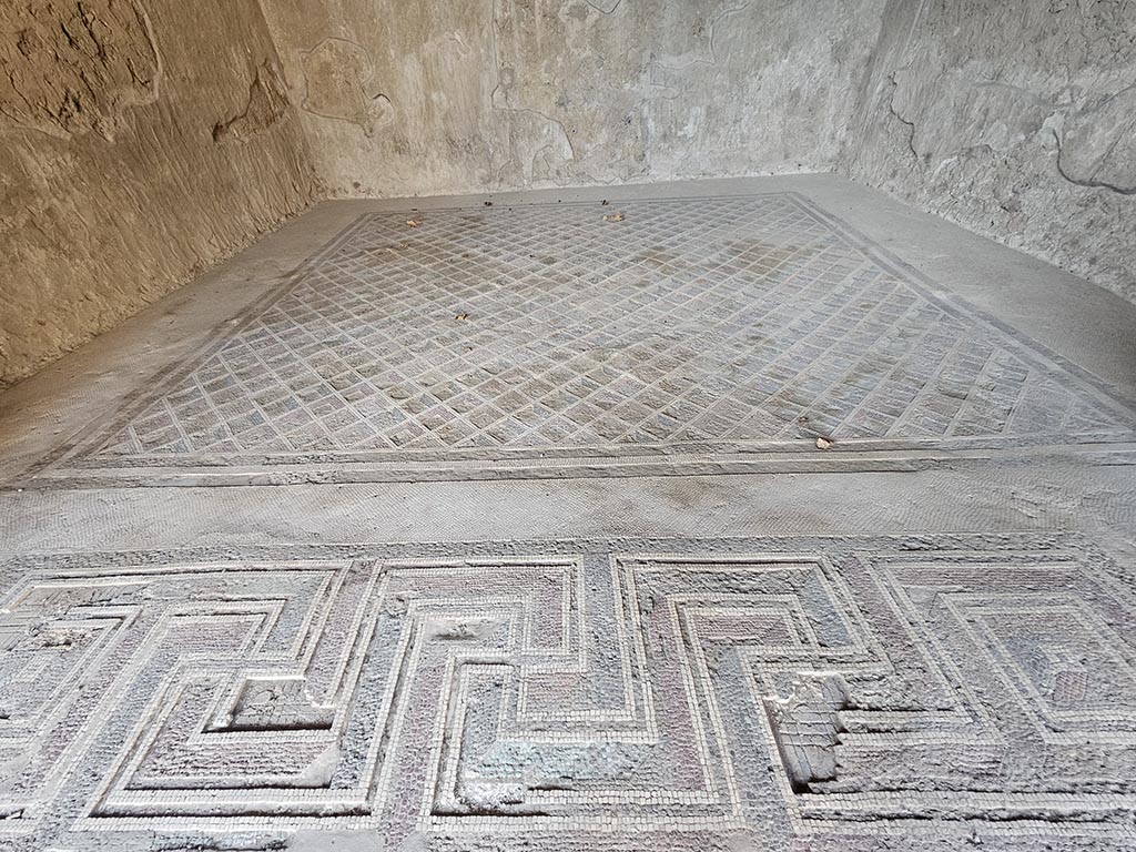 V.2.i Pompeii. November 2024. Room 24, looking north across flooring. Photo courtesy of Annette Haug.