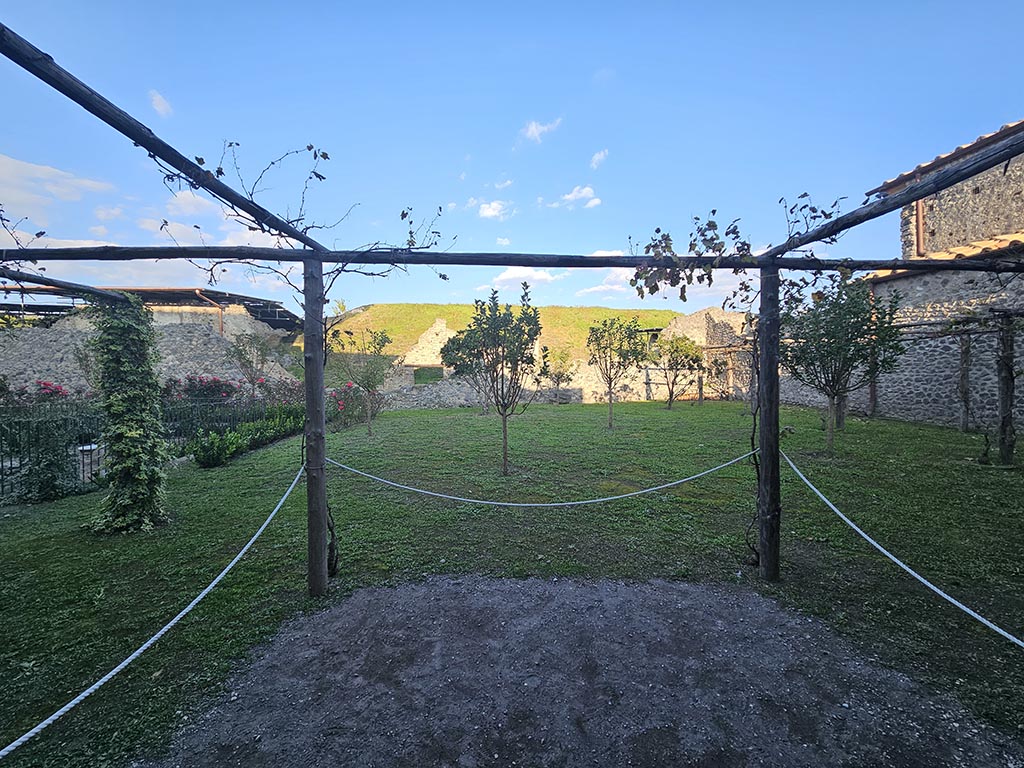 V.2.i Pompeii. November 2024. Garden 25, looking east across garden towards Vicolo dei Balconi. Photo courtesy of Annette Haug.
