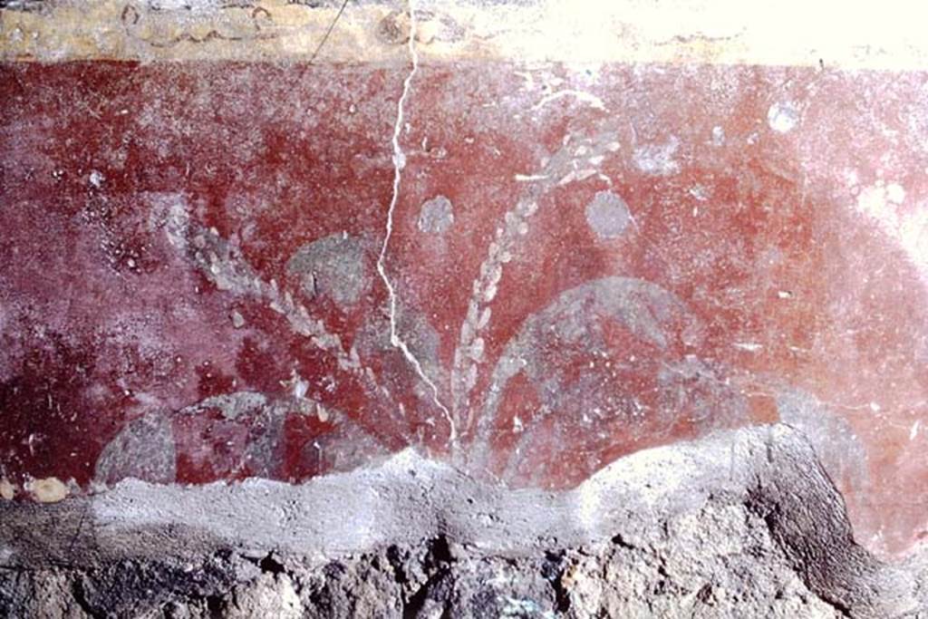 V.2.i Pompeii, 1968. Room 5, detail of painted zoccolo from west end of south wall of ala.  Photo by Stanley A. Jashemski.
Source: The Wilhelmina and Stanley A. Jashemski archive in the University of Maryland Library, Special Collections (See collection page) and made available under the Creative Commons Attribution-Non Commercial License v.4. See Licence and use details. J68f1561

