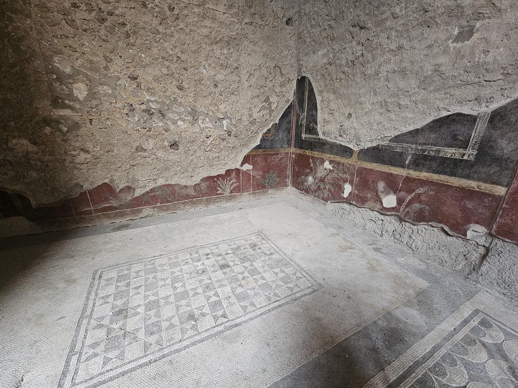 V.2.i Pompeii. November 2024. Room 5, mosaic flooring in ala. Photo courtesy of Annette Haug.